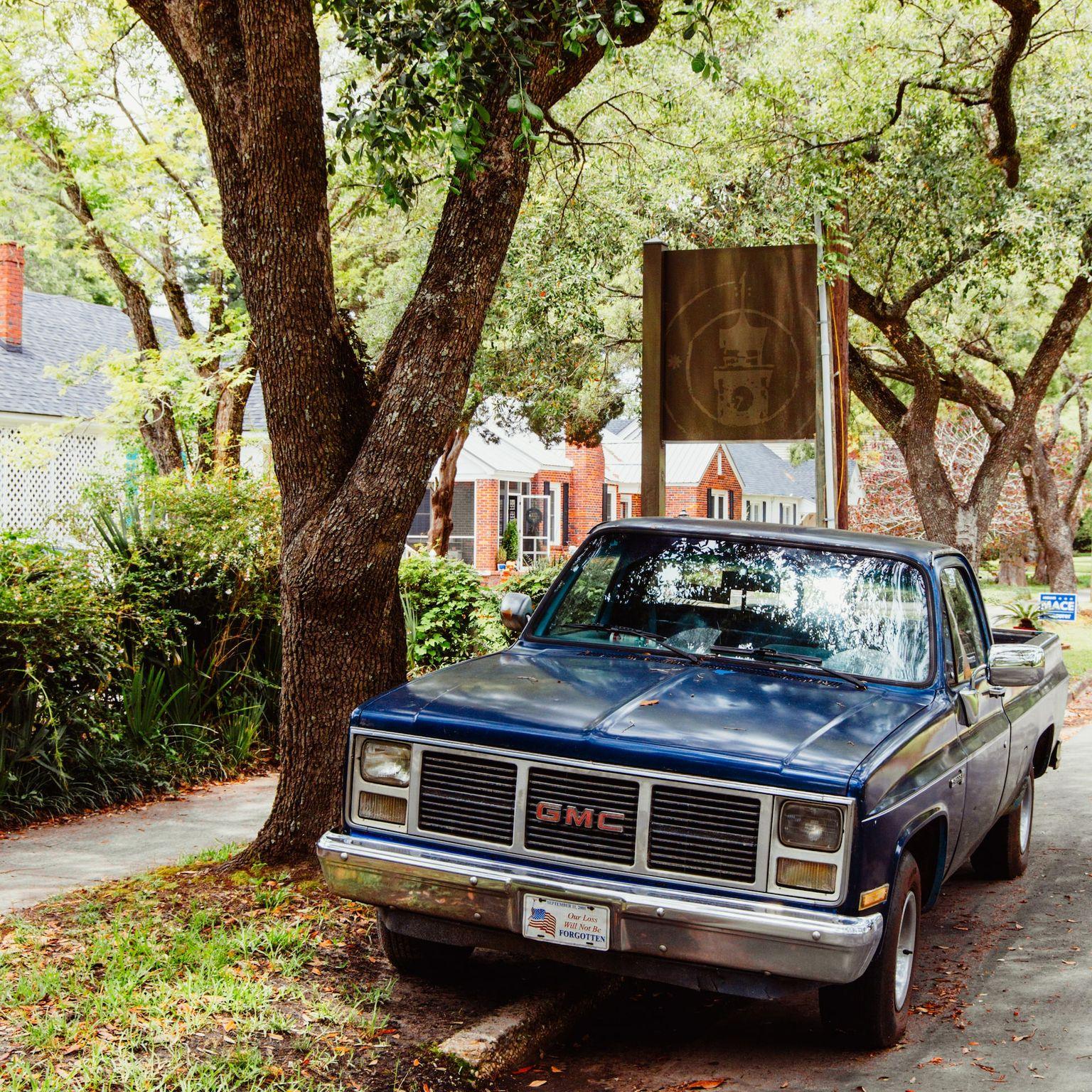 blue car parked beside green tree during daytime